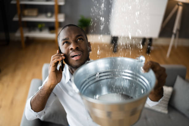 Best Professional water damage repair  in Brimfield, OH