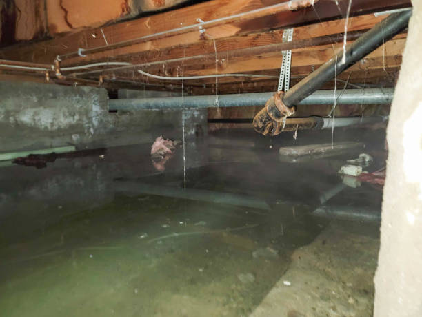 Water damage restoration mold remediation in Brimfield, OH