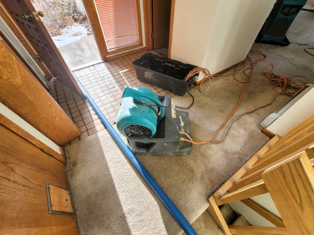 Best Mold removal after water damage  in Brimfield, OH