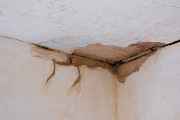 Best Carpet water damage restoration  in Brimfield, OH