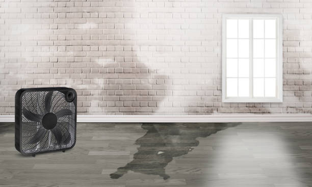 Best Water damage restoration cost  in Brimfield, OH