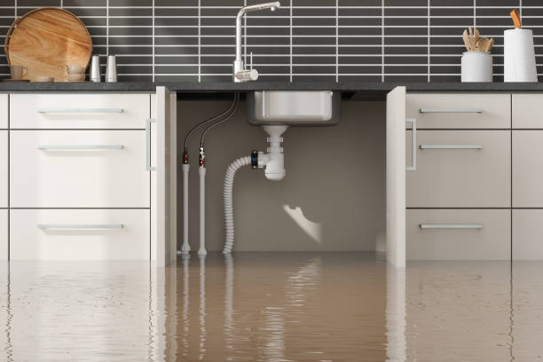 Best Local water damage restoration  in Brimfield, OH