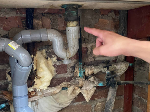 Best Water damage cleanup near me  in Brimfield, OH