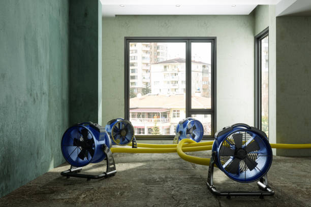 Best Water damage restoration near me  in Brimfield, OH