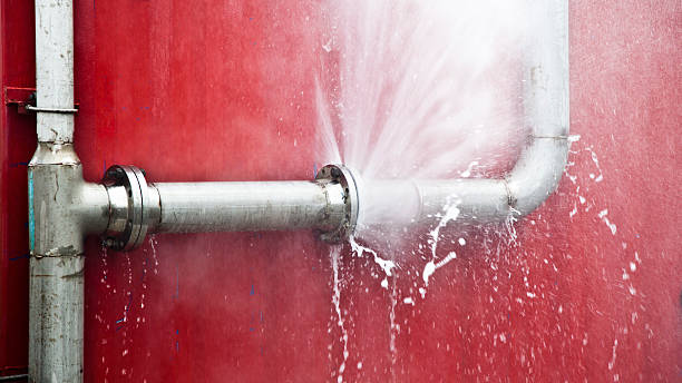 Best Carpet water damage restoration  in Brimfield, OH