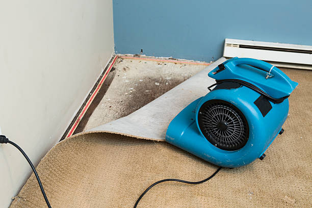 Best Basement water damage restoration  in Brimfield, OH